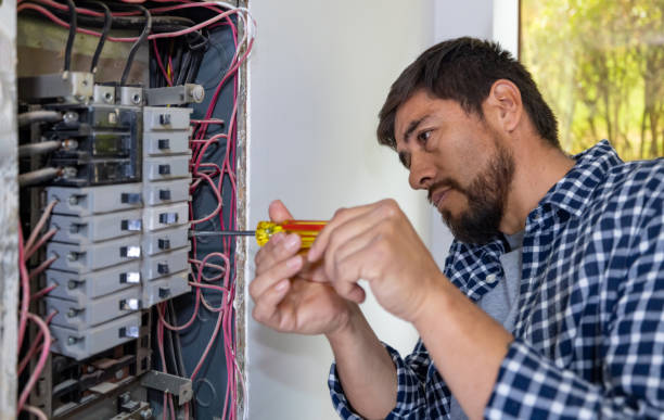 Best Ceiling Fan Installation Electrician  in La Villa, TX